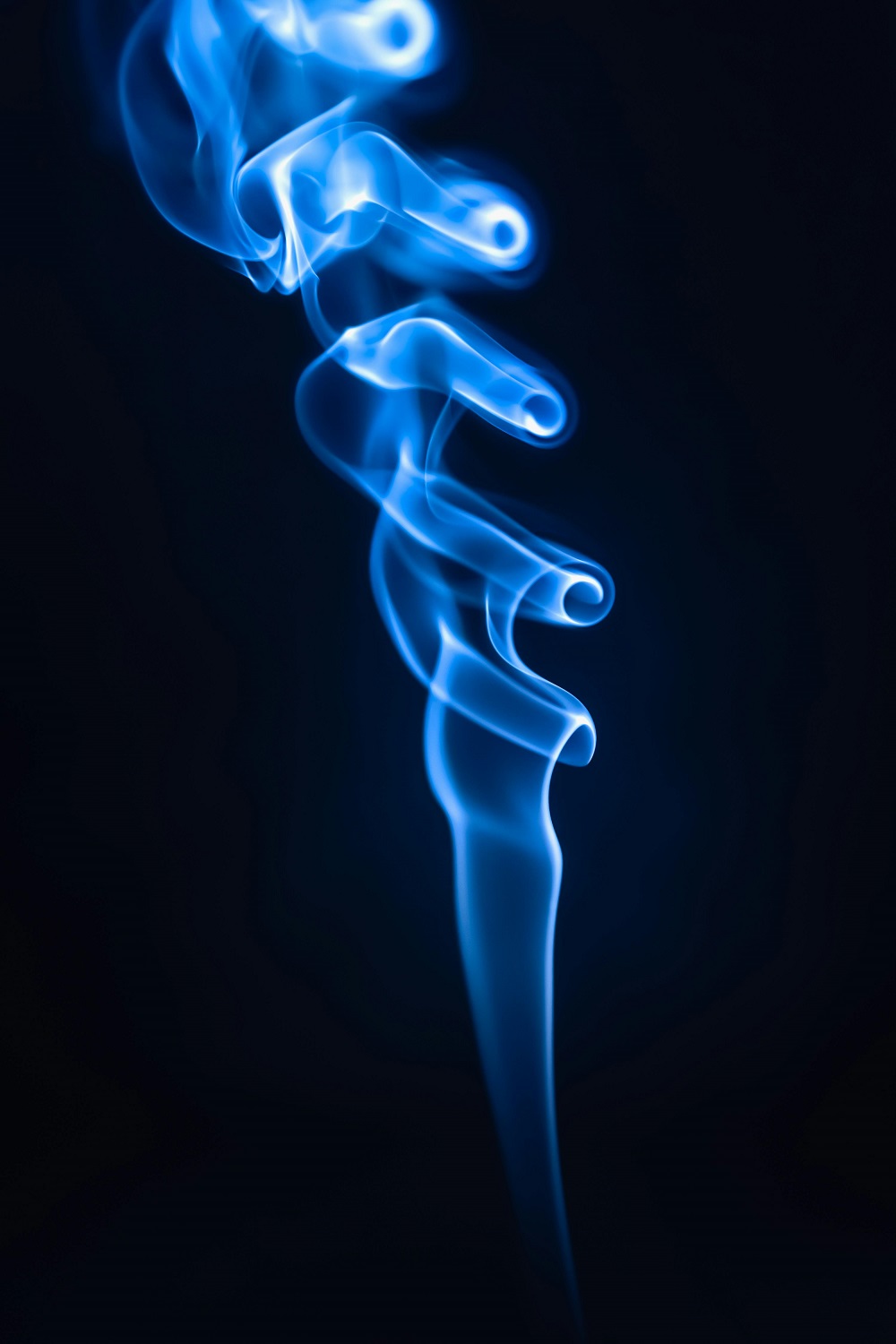 Content section image