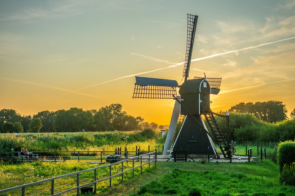 Renewable Energy